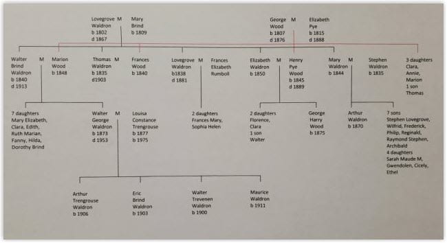 Bowley Waldron family tree