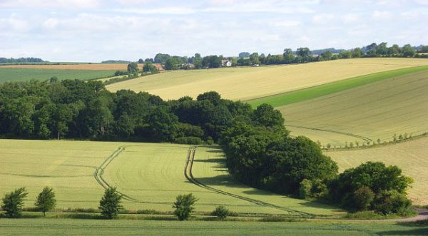 Farmland, Great Shefford by Andrew Smith (CC BY-SA 2.0 via Wikimedia Commons)