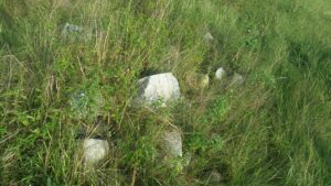 The site of Śniadowo cemetery (a field by a train line), with some tombstone fragments? 