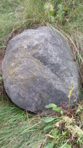 The only stone left in Kałuszyn cemetery