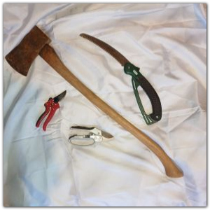 Tools for working on trees - Axe, saw, secateurs