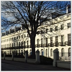 A row of elegant, white Georgian terraced townhouses with black wrought-iron balconies, partially obscured by a large bare tree in the foreground.