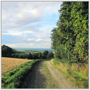 A winding country track bordered by a golden field and leafy trees overlooks a vast, green valley under a partly cloudy sky.