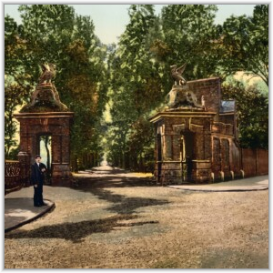 AI generated image. A man stands by ornate brick gates with griffin statues, leading to a tree-lined road.