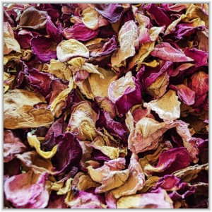 A close-up of dried rose petals in shades of deep magenta, pink, and faded yellow.
