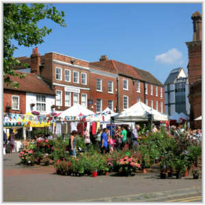 People browse plant stalls and white market tents decorated with colorful bunting in a sunny town square surrounded by historic red brick buildings.
